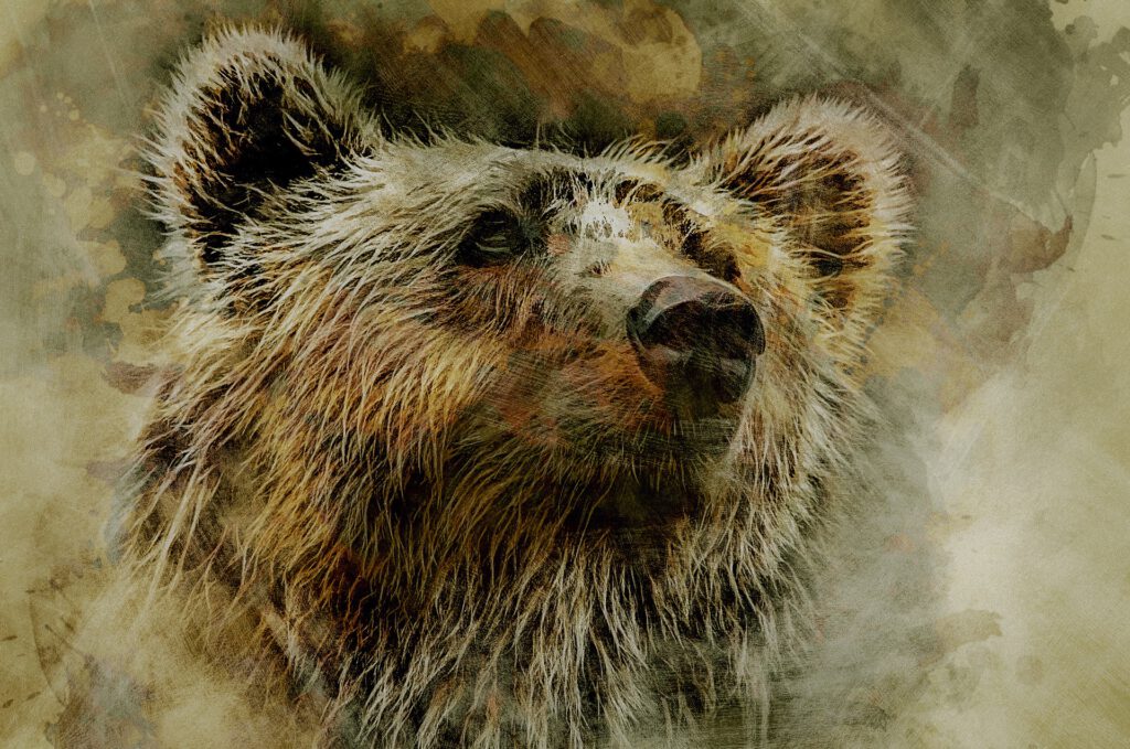 Bär